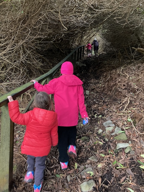 A view through a tree tunnel with the backs of kids visible